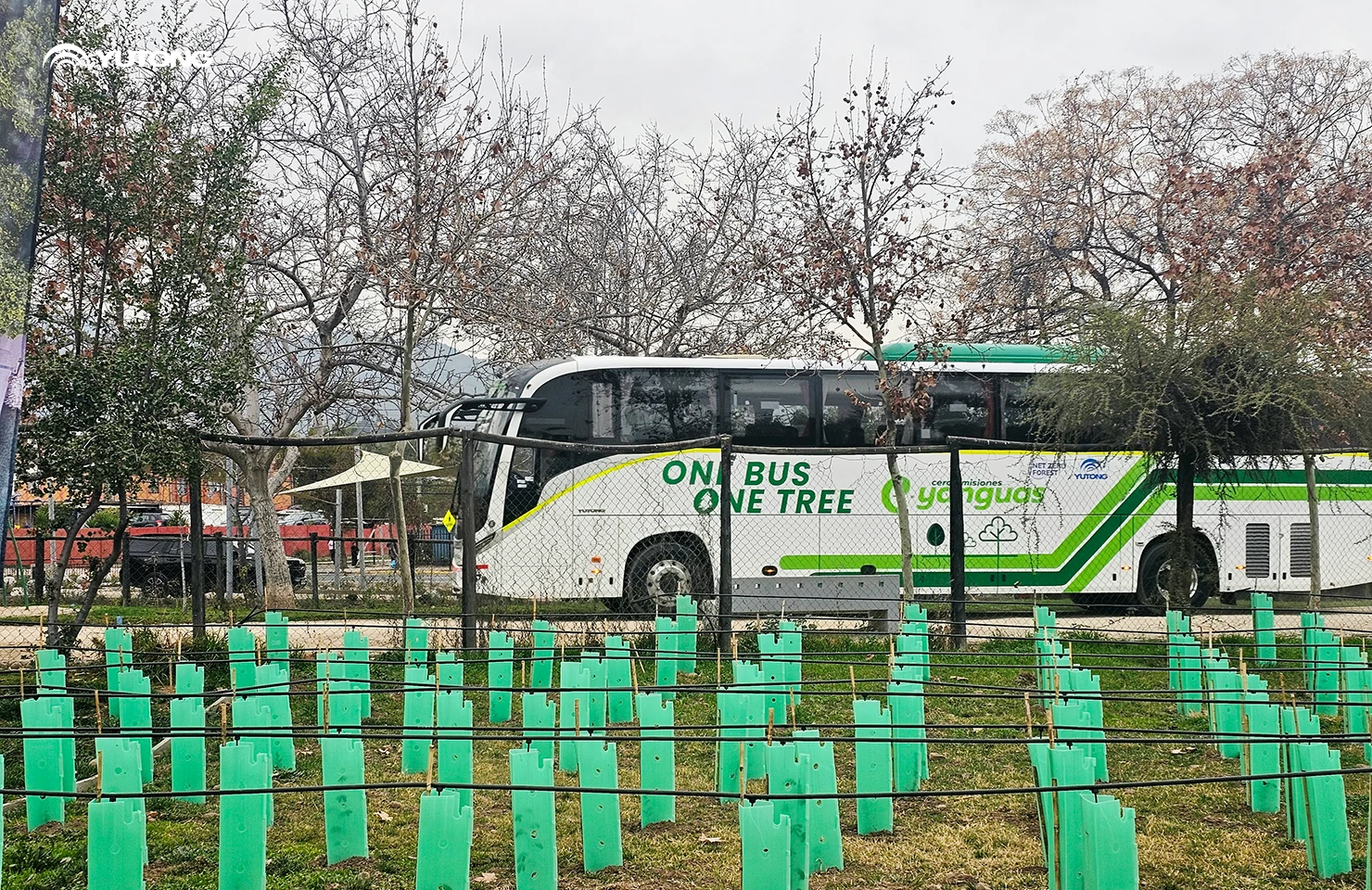Yutong pone en marcha el programa «Net Zero Forest» para 2026: llevando 44.218 árboles a Gansu en la primera fase Yutong pone en marcha el programa «Net Zero Forest» para 2026: llevando 44.218 árboles a Gansu en la primera fase