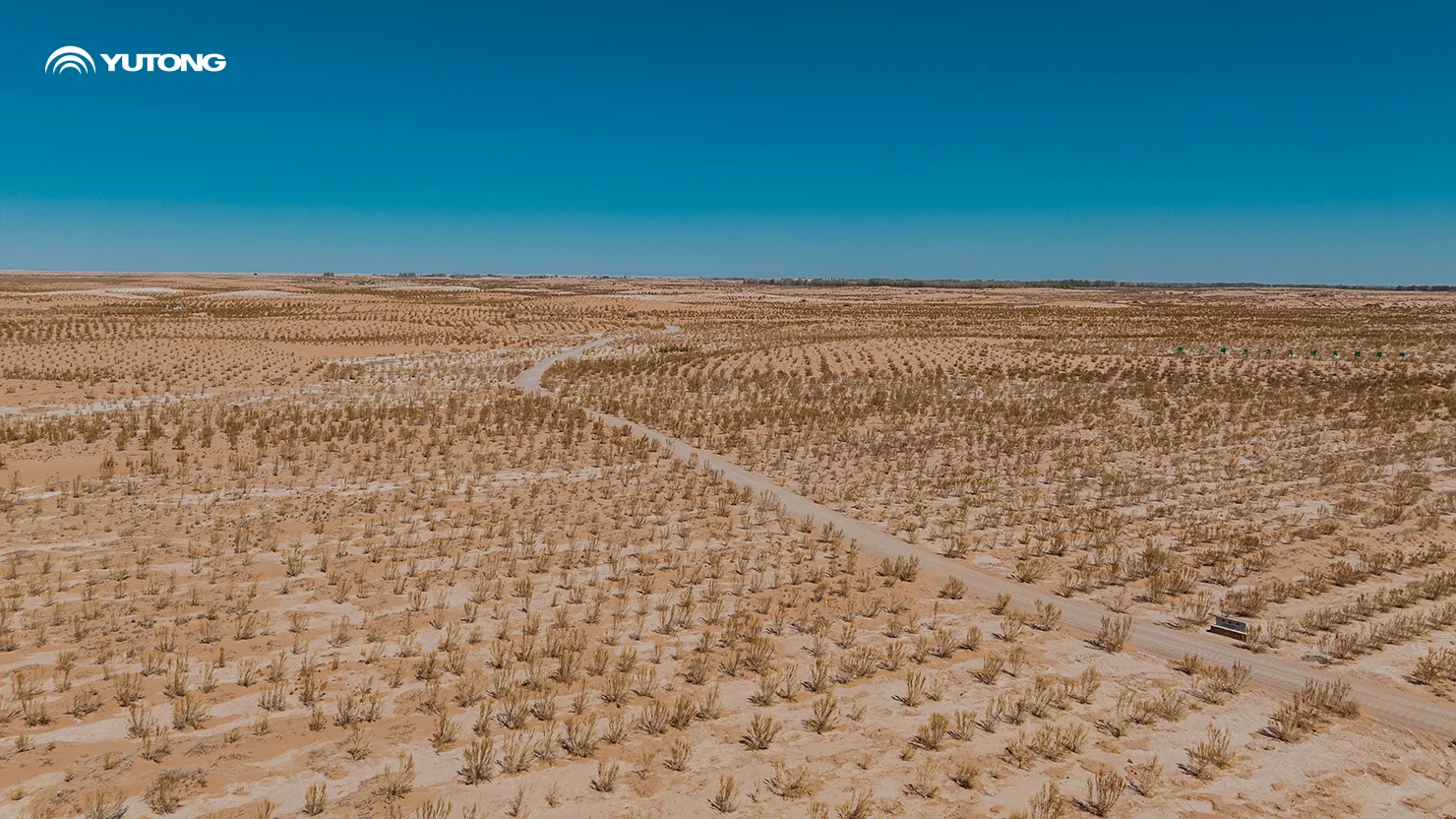 Yutong pone en marcha el programa «Net Zero Forest» para 2026: llevando 44.218 árboles a Gansu en la primera fase Yutong pone en marcha el programa «Net Zero Forest» para 2026: llevando 44.218 árboles a Gansu en la primera fase