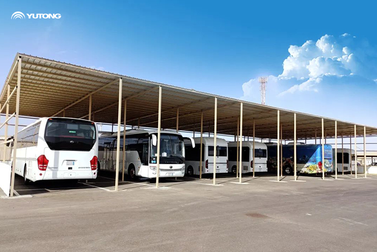 Yutong entrega otros 263 autocares a Arabia Saudí Yutong entrega otros 263 autocares a Arabia Saudí