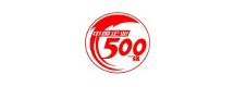 Fortune 500
